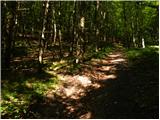 Planina (Dolnja Planina) - Hunting cottage on Planinska gora